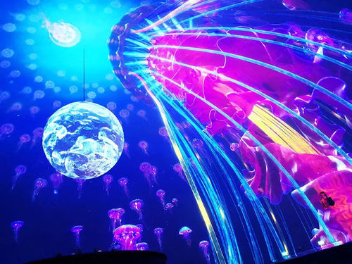 Latest company news about FLYIN 20000 lumen projector equipped with fisheye lens to create a shocking spherical screen visual experience