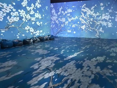 Latest company news about Immersive projection: opening a new chapter in future vision