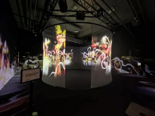 Latest company news about FLYIN projector: Reconstructing time and space with light and shadow, interpreting the epic of life of "one glance for t